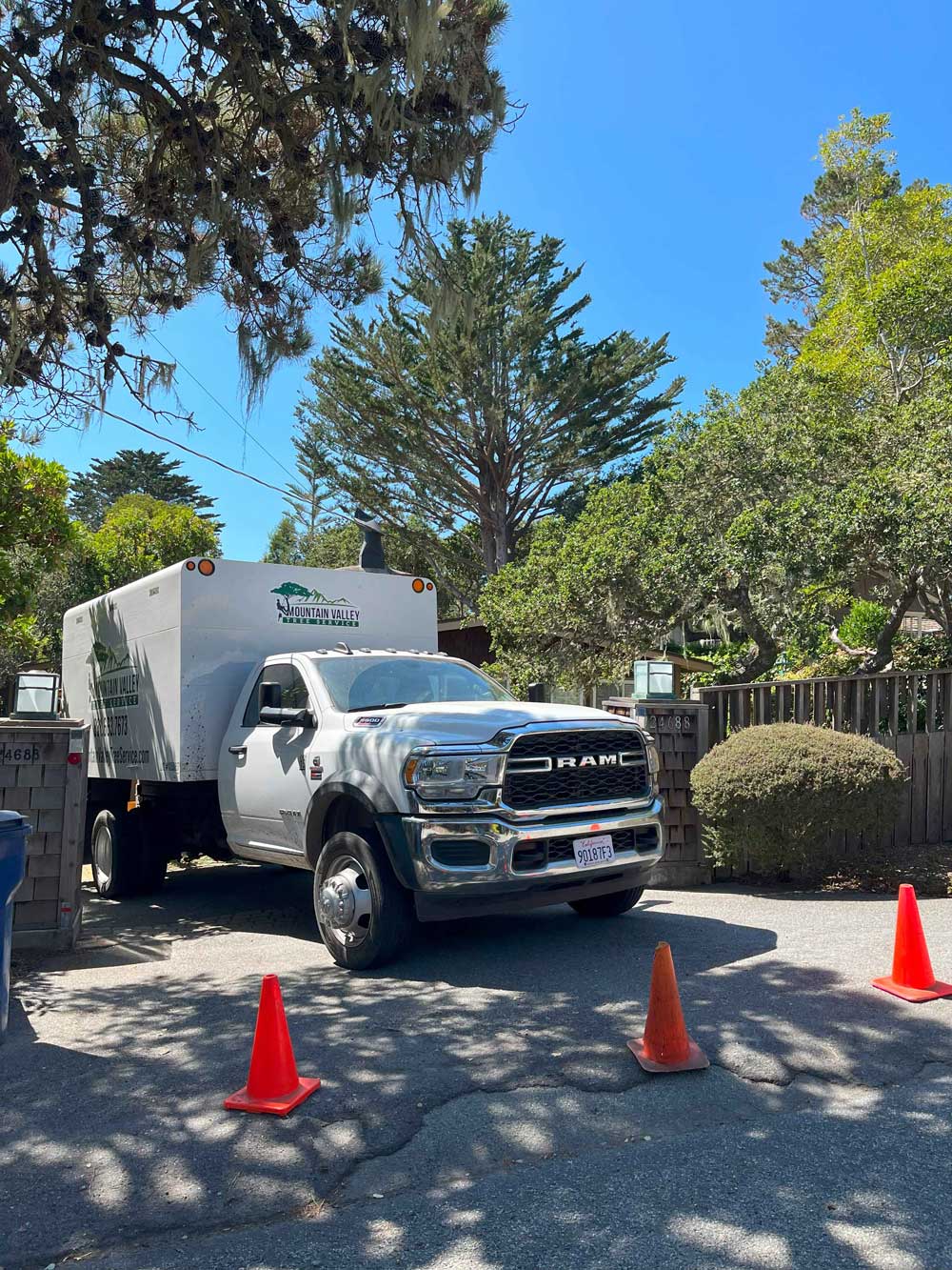 Tree Service in Monterey CA Tree Service in Monterey CA
